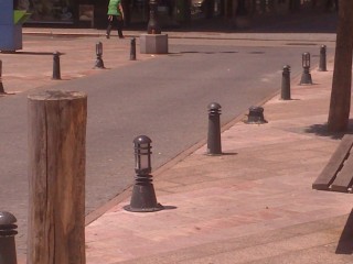 Arboles cortados en la zona de la Plaza de Abastos y en la calle Aller